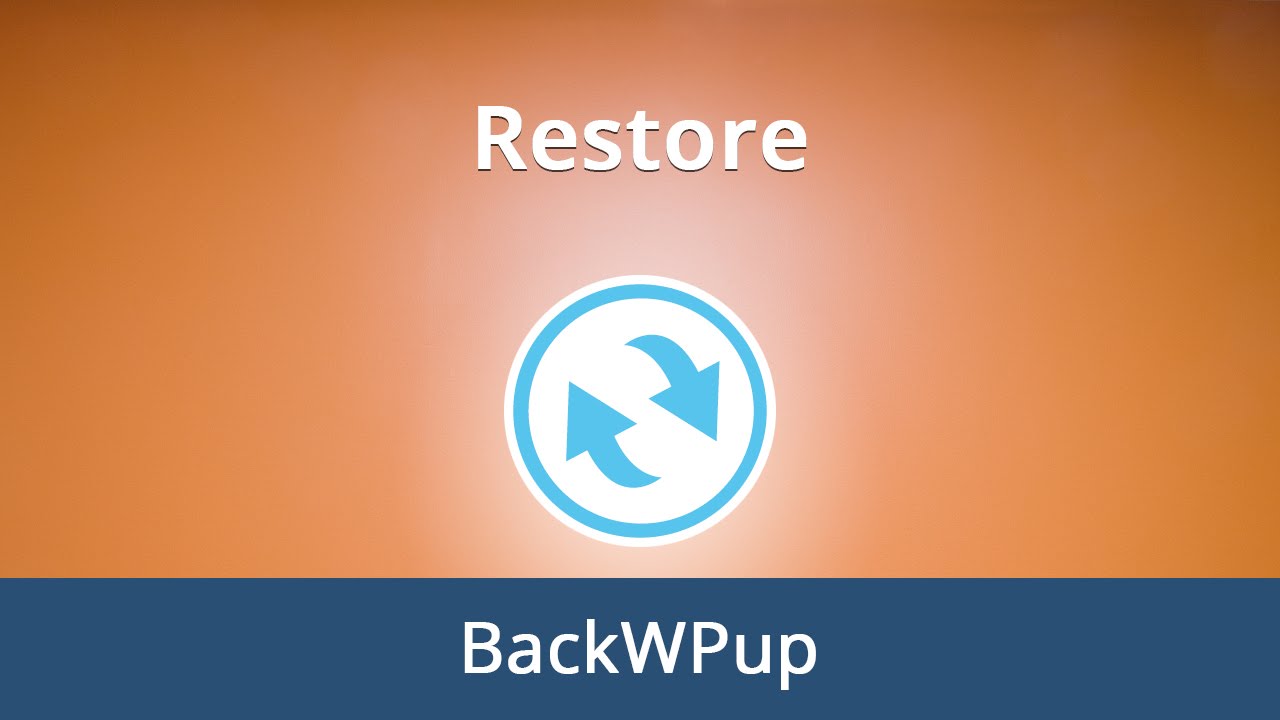 How to Choose the Right Backup WordPress Plugin for Your Website